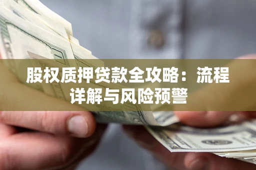 北京股权质押贷款全攻略：流程详解与风险预警