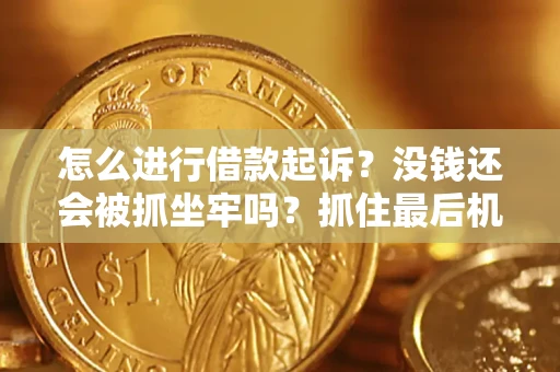 北京怎么进行借款起诉？没钱还会被抓坐牢吗？抓住最后机会！