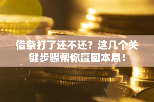 北京借条打了还不还？这几个关键步骤帮你赢回本息！