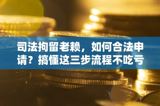北京司法拘留老赖，如何合法申请？搞懂这三步流程不吃亏！