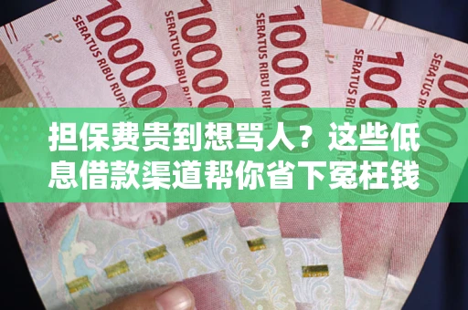 北京担保费贵到想骂人？这些低息借款渠道帮你省下冤枉钱