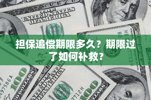 北京担保追偿期限多久？期限过了如何补救？