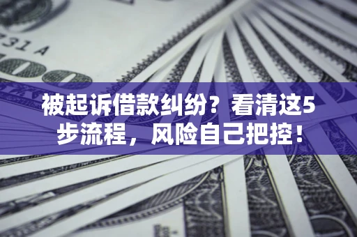 北京被起诉借款纠纷？看清这5步流程，风险自己把控！