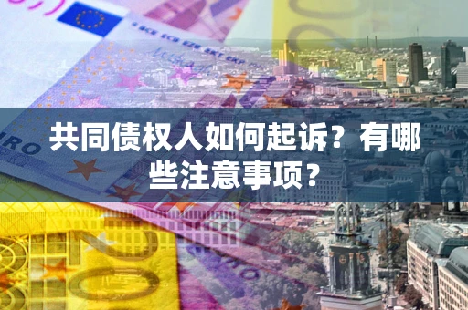 北京共同债权人如何起诉？有哪些注意事项？
