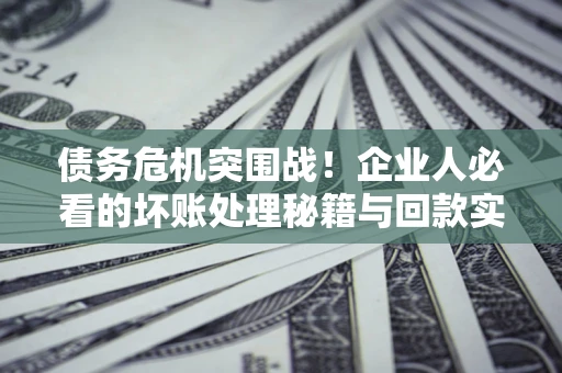 北京债务危机突围战！企业人必看的坏账处理秘籍与回款实战指南